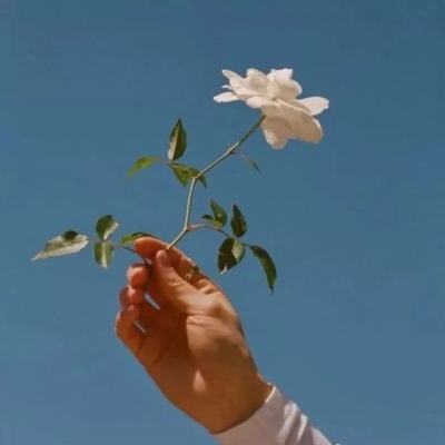 旧手机回收一天一个价